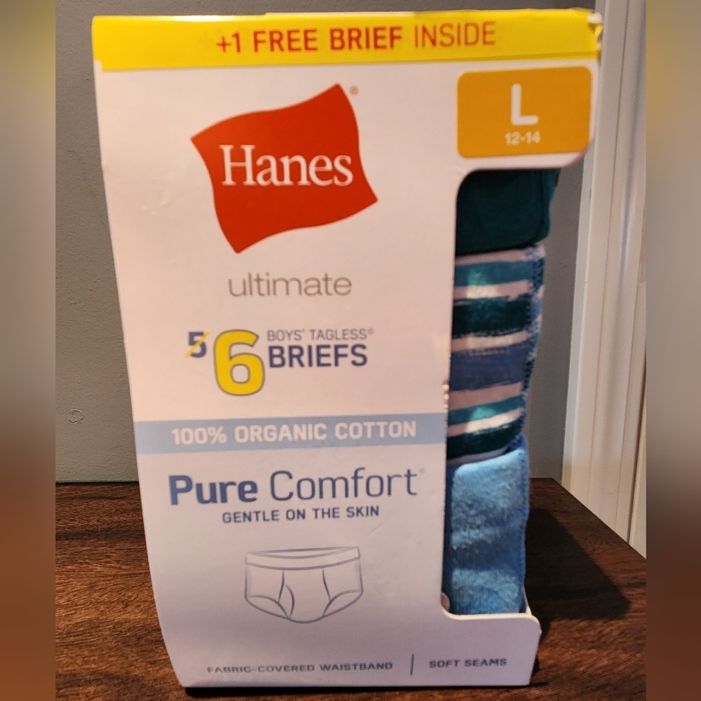 Hanes Boys' Tagless Briefs - Blue and White